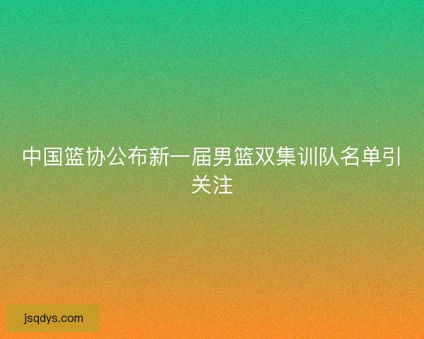 中国篮协公布新一届男篮双集训队名单引关注