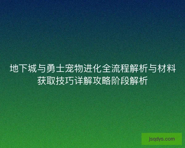 地下城与勇士宠物进化全流程解析与材料获取技巧详解攻略阶段解析
