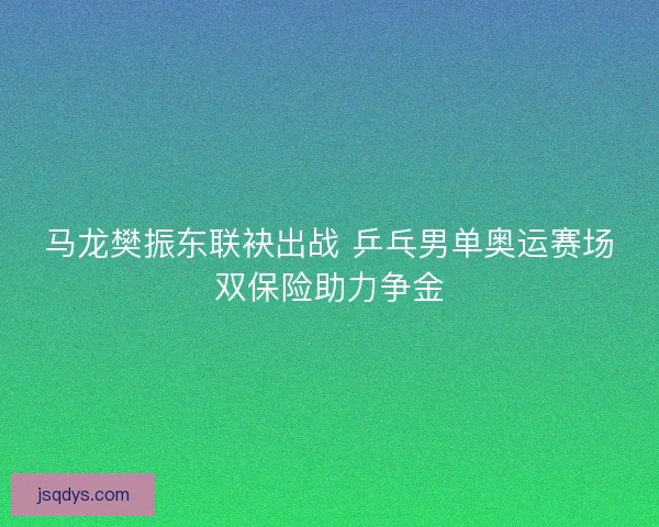 马龙樊振东联袂出战 乒乓男单奥运赛场双保险助力争金 马龙樊振东联袂出战 乒乓男单奥运赛场双保险助力争金
